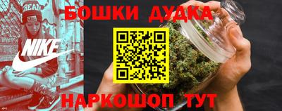 сатива Сланцы
