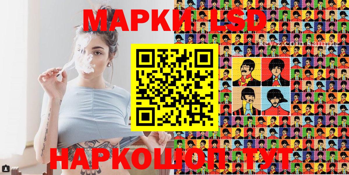 дарнет шоп  Наркотические марки  Вход с VPN  Марки NBOMe 1500мкг  Марки NBOMe 1500мкг  Петропавловск-Камчатский 