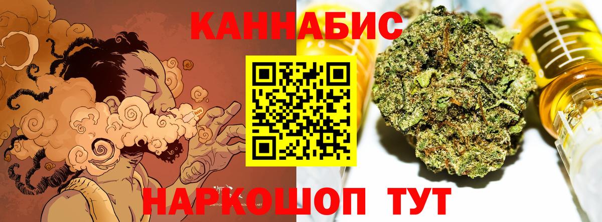Бошки Шишки план  Канабис семена  Петропавловск-Камчатский  Вход с VPN  Каннабис Ganja 